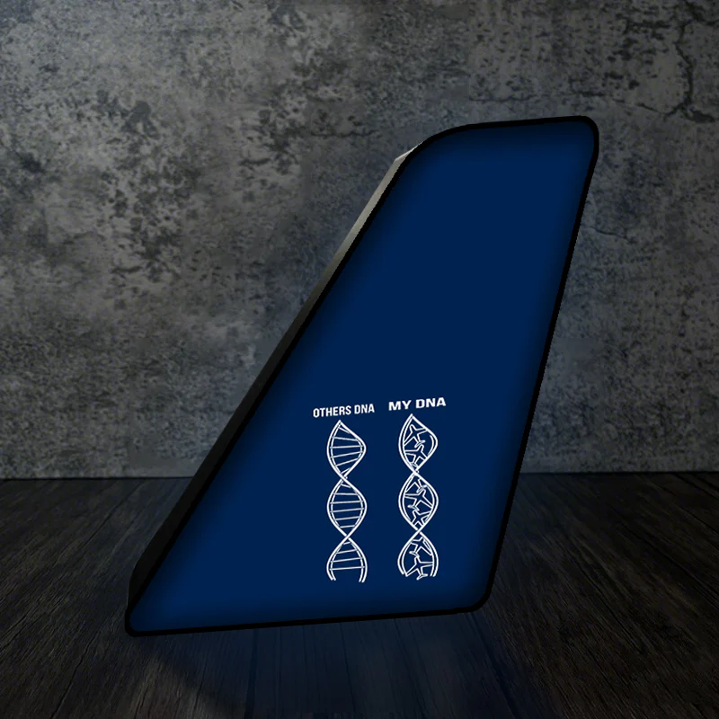 Aviation DNA Designed Led Aircraft Tail & 3D Lamp - Image 8