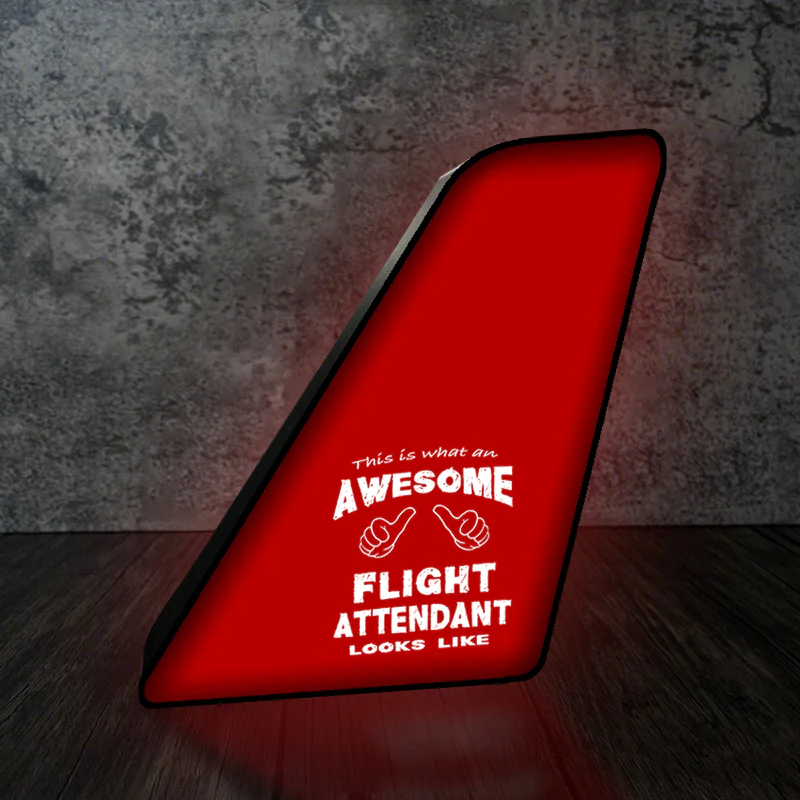 Flight Attendant Designed Led Aircraft Tail & 3D Lamp - Image 4