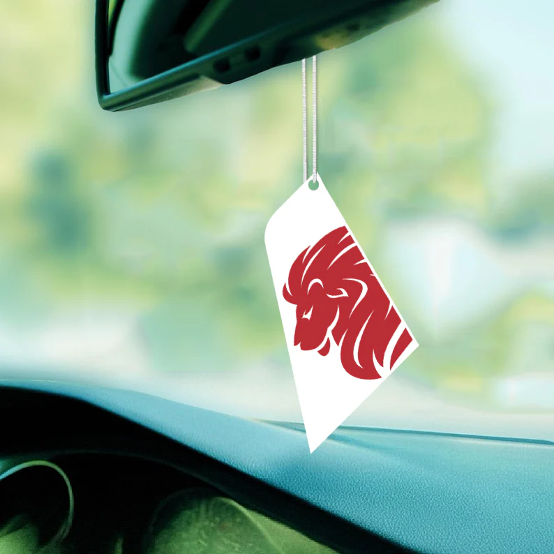 FlyArystan Airlines Designed Car Air Fresheners