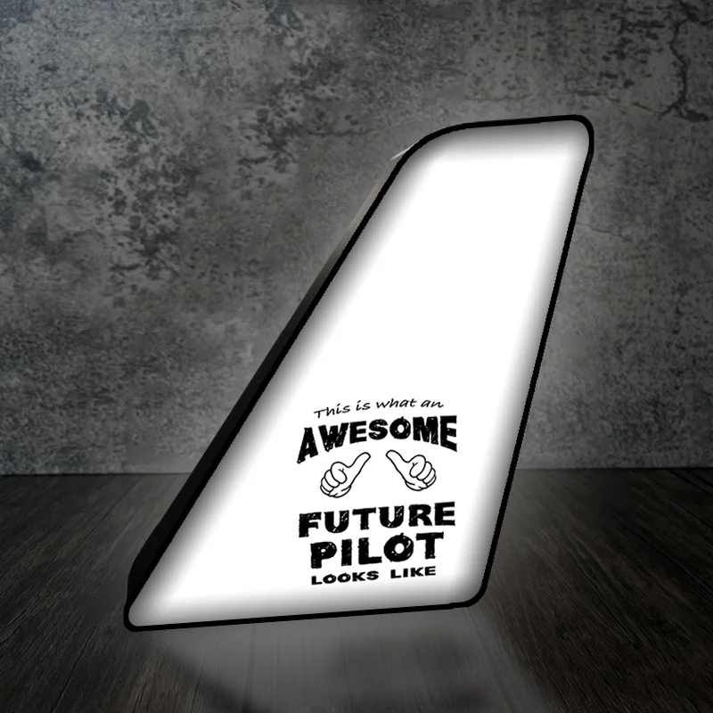 Future Pilot Designed Led Aircraft Tail & 3D Lamp - Image 2