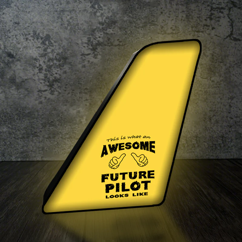 Future Pilot Designed Led Aircraft Tail & 3D Lamp - Image 3