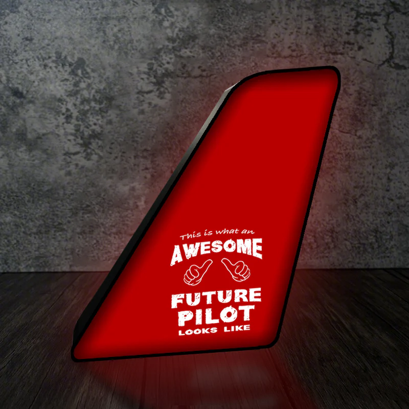 Future Pilot Designed Led Aircraft Tail & 3D Lamp - Image 4