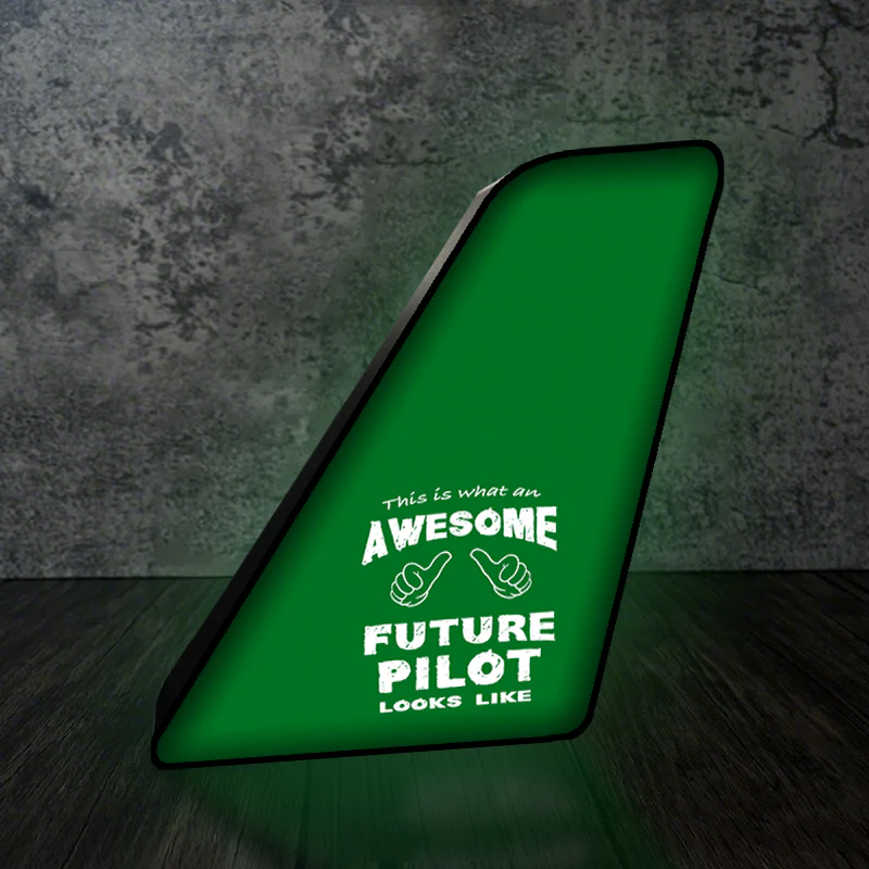 Future Pilot Designed Led Aircraft Tail & 3D Lamp - Image 7
